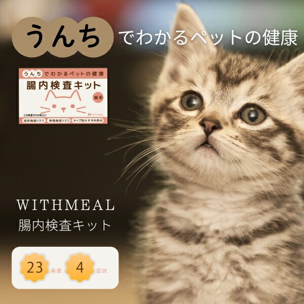 【在庫限り】WITHMEAL 腸内検査キット 猫用 1回分 約10日で結果判明 猫用腸内フローラ検査 猫健康診断 腸内環