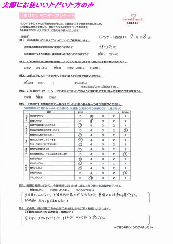 恋はだ20個入 2個セット ｜ 日本製　生理用品　大衛　アメジスト