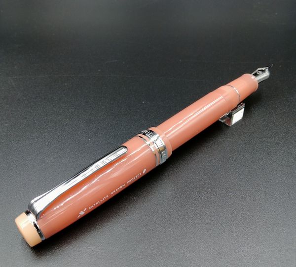 SAILOR セーラー 限定 海の万年筆 Professional Gear 