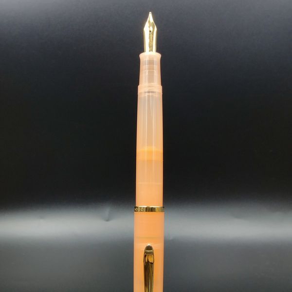 Pelikan �ڥꥫ�� ���������� ���饷�å� Classic M200 ���ץꥳ�åȥ������� 24��ץ졼�ȥ�������ڥ��� ��ǯɮ