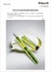 Pelikan �ڥꥫ�� ���饷�å� M205 Duo NEON �ǥ奪 �ͥ��� ��������BB�˥��ƥ�쥹��������ڥ���