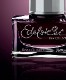 Pelikan Edelstein ink �ڥꥫ�� 2023ǯ���������� �����ǥ륷�奿���� �������������� RoseQuartz �ܥȥ륤�� 50ml