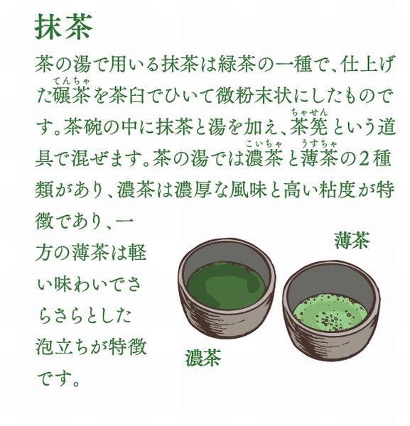 SAILOR 顼  Υƥ 5 Tea Time  ܡڥ 16-1323-260 300 