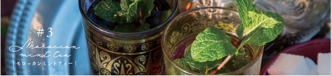 SAILOR 顼  Υƥ 3 Tea Time Professional Gear ץեåʥ륮 åߥȥƥ  ǯɮ 11-2922-330 (١11-2922-430˸1400 21緿ڥ