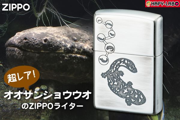 ZIPPO �������󥷥祦���� giant salamander ���ι����99����å����������֥��ž夲  ���åݡ�