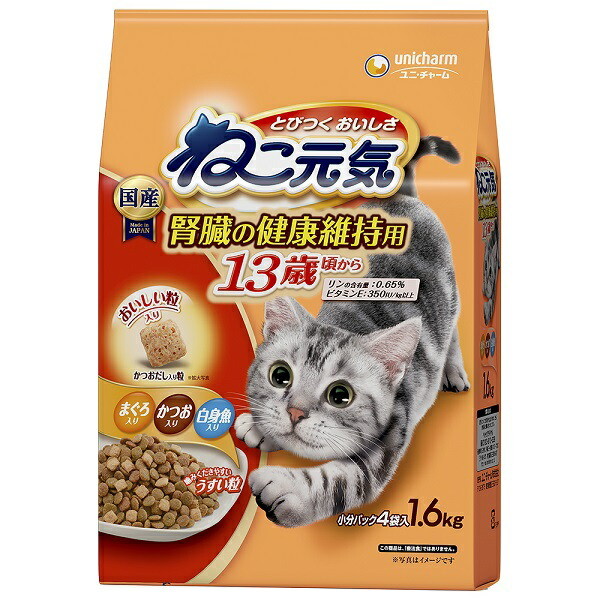 【極レア】本物保証 ドーム・ナンシー 猫 000000004182_sXnErPi.jpg