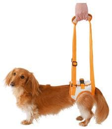 ペティオ 老犬介護用 歩行補助ハーネス【後足用/M】4903588236280