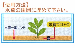 Gex 水草一番栄養ブロック９粒入 すべての商品 アミーゴオンラインショップ本店