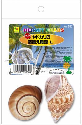 三晃 オカヤドカリの宿替え貝殻・L 4976285058301 | すべての商品