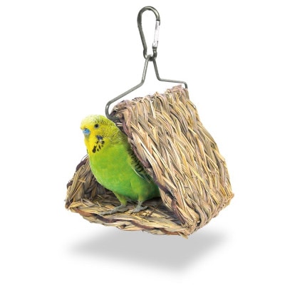 ���ɡ������Ѥ��Ȥ�ƥ�ȡ��������������󥳤ʤɾ����Υ�����