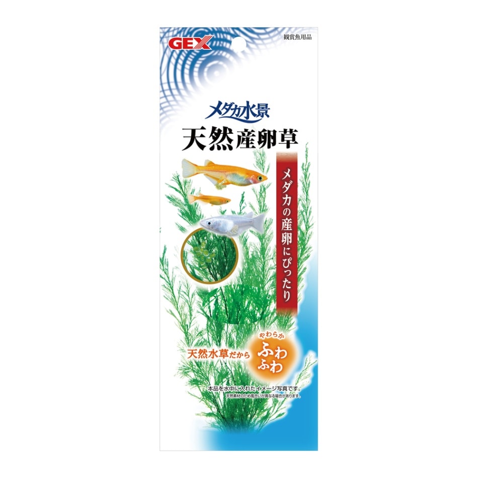 GEX メダカ水景 天然産卵草 4972547026262 観賞魚水槽用 水中