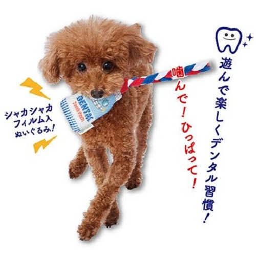 ZEROBASEONE コンプ 강아지귀 犬の耳 ペティオ Enjoy！かむロープ 歯みがき チューブくん 超小型犬