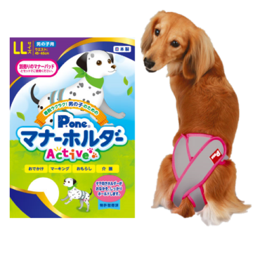 ファープラスト アミーゴ コード リード グリーン 犬 Lサイズ 5m ファープラスト アミーゴ コード リード Beige-Turquoise 小・中型犬用