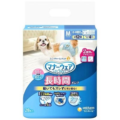 �ޥʡ����������˽����� ��Ĺ���֥���ġ��͡�28�硡��˥��㡼�ࡡ4520699649671�����ȥ������ʡ������