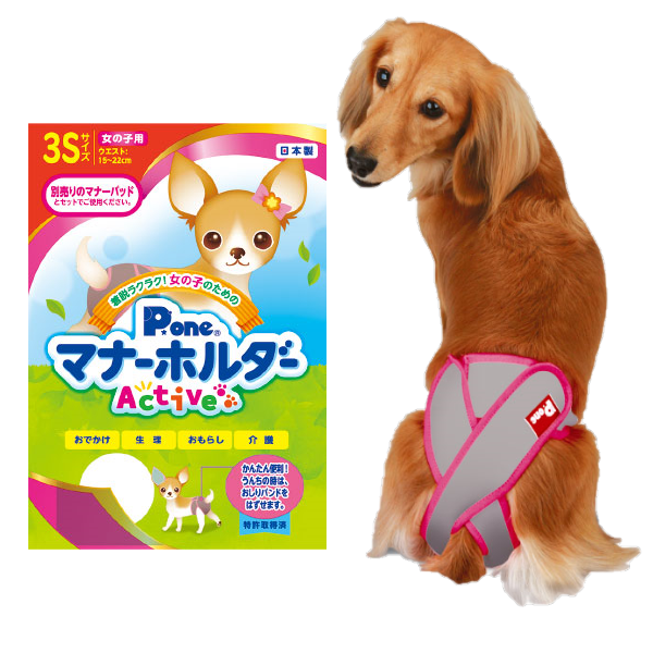 女の子用 マナーホルダー Active 3Sサイズ 4904601765084 第一衛