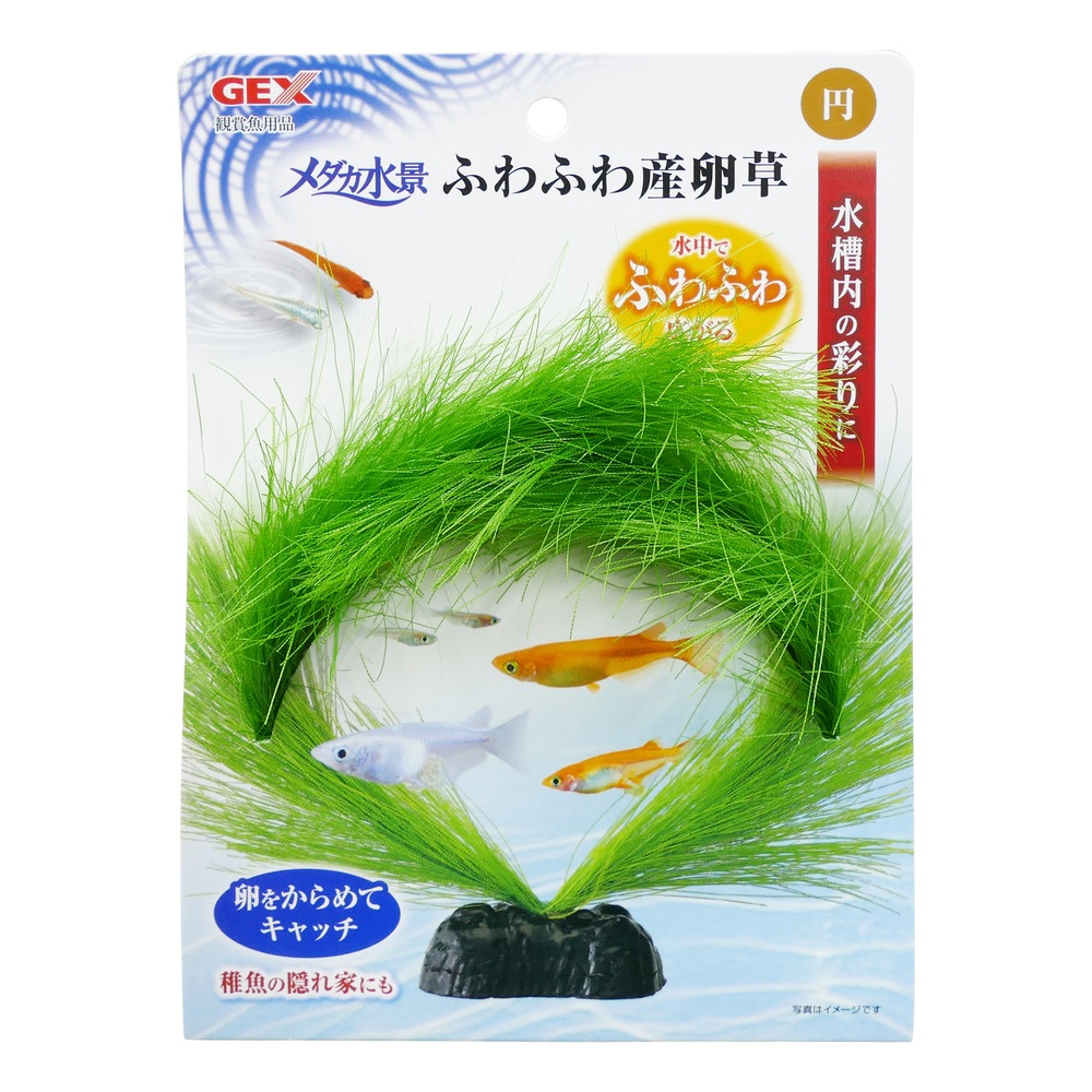 GEX メダカ水景 ふわふわ産卵草 円 4972547042880 観賞魚水槽用