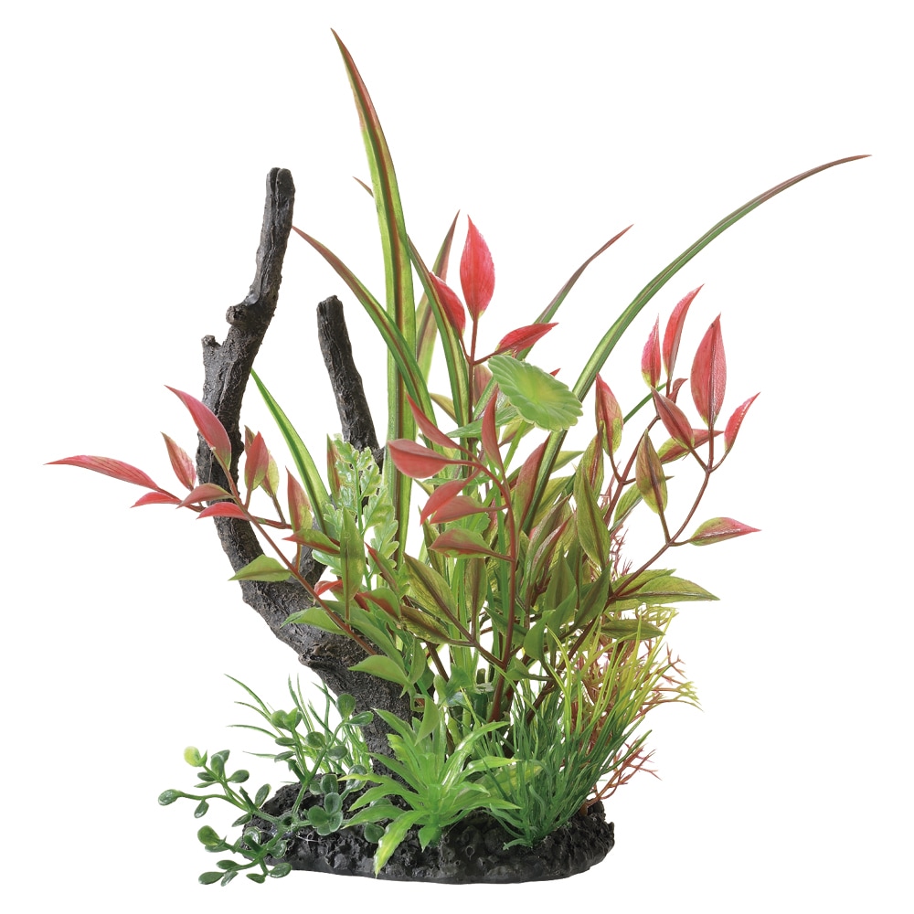 GEX 癒し水景 MIXプランツ ウッド ルドウィジア 4972547044242