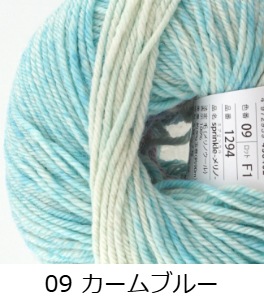 ��1294�ۥ��ץ�󥯥���� 1�� �ӻ�ԥ��� �����Բ�