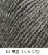 Z2010Grandirʥǥ  1 ӻԥ Բ