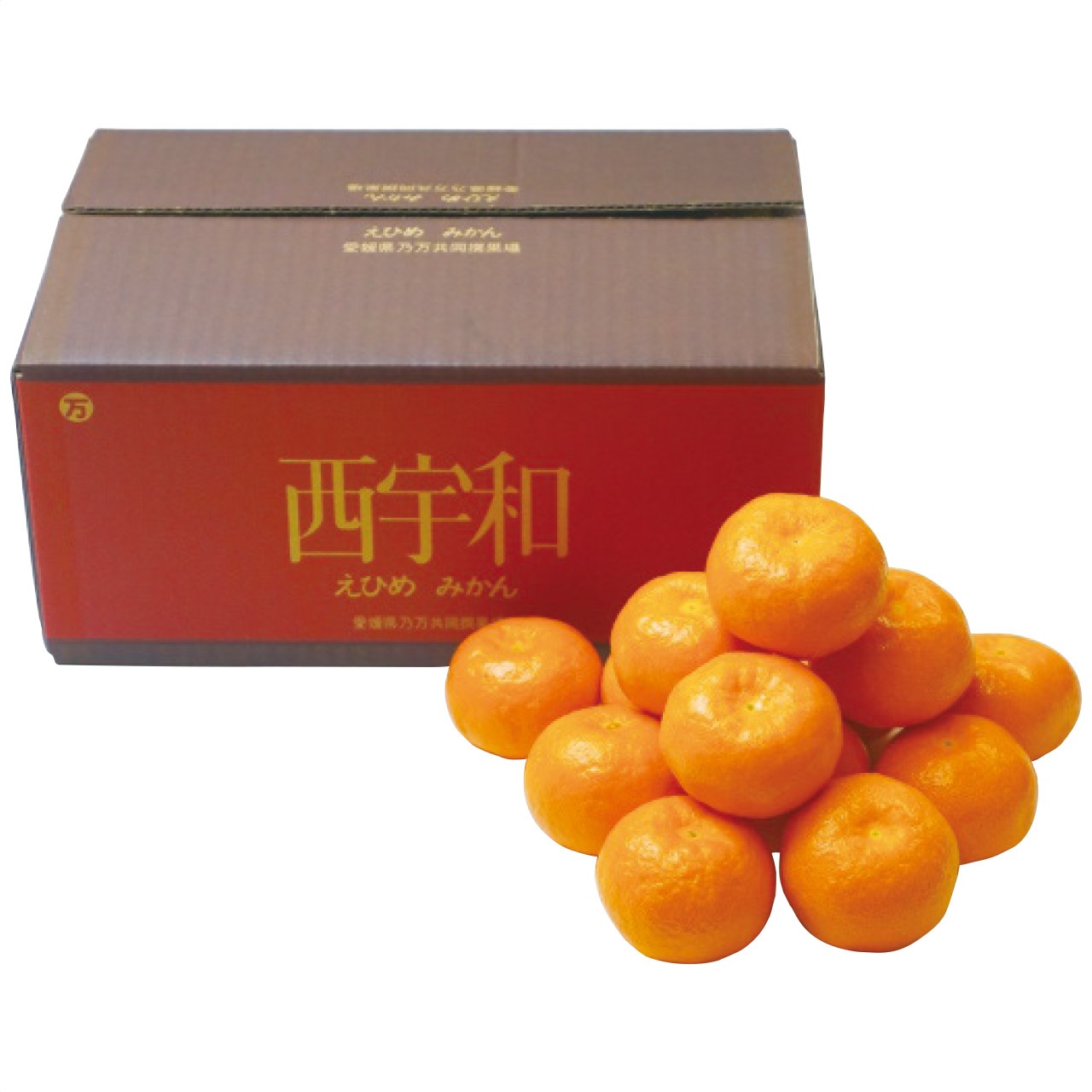 【送料込み】愛媛県産 みかん約3kg