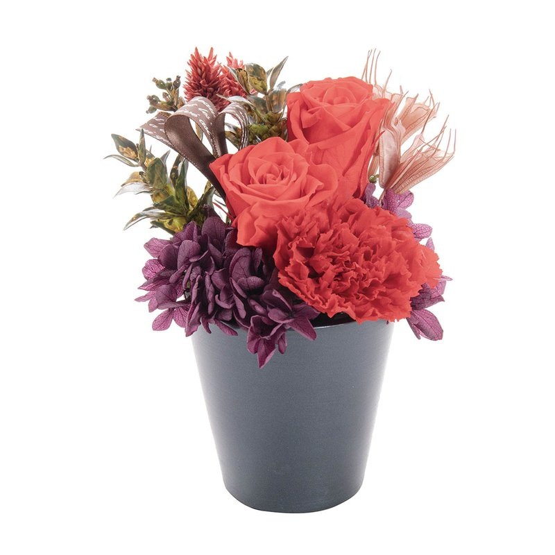 母の日 プリザーブドフラワー フルールスーリル レッド