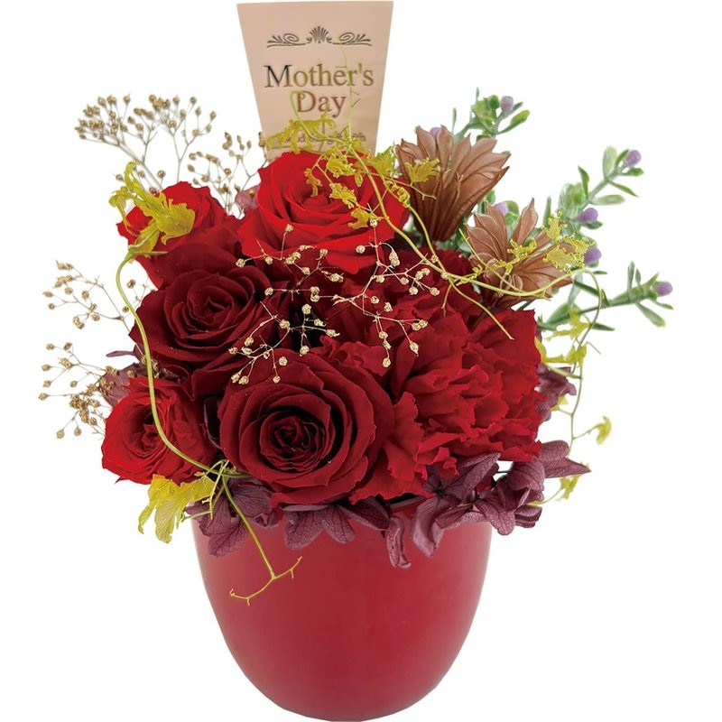 母の日 プリザーブドフラワーフルールソワレ レッド