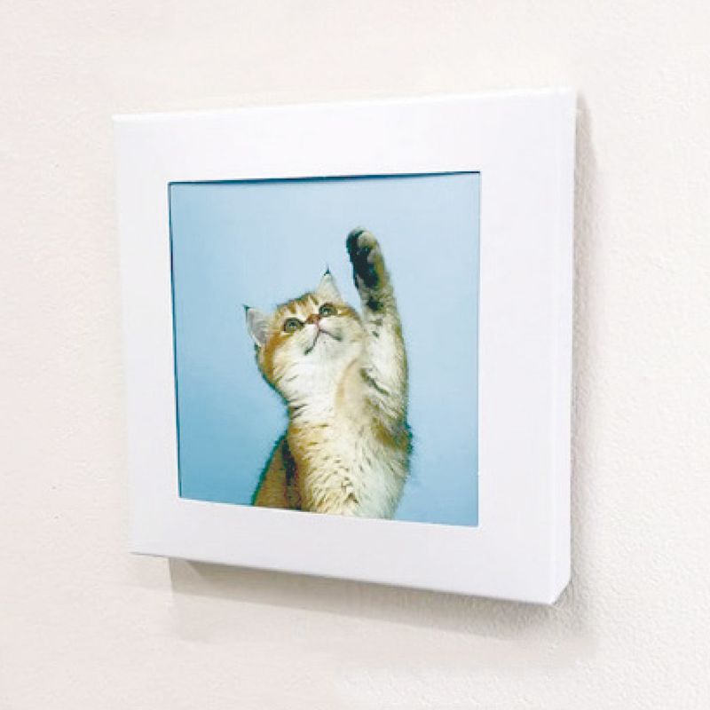 壁に飾る防災トイレ処理セット(5回分) アートトワレ ねこ