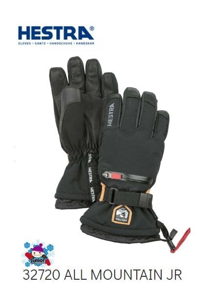 グローブ,HESTRA | 名古屋のオールマウンテンスポーツDoing