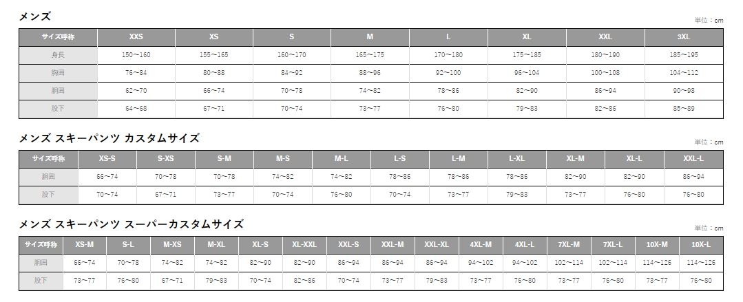ゴールドウィン 2021 GOLDWIN Stream Jacket CN G10324P スキーウェア