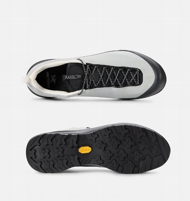 アークテリクス ARC'TERYX KONSEAL FL 2 LEATHER GTX MSilk/Black