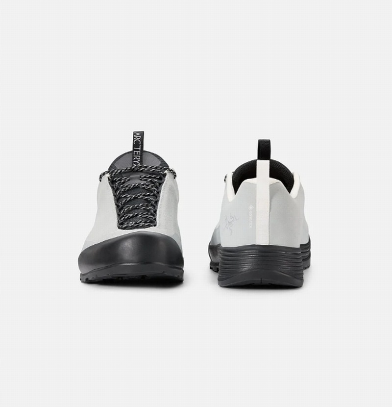 ARC'TERYX アークテリクス コンシールFL GTX ゴアテックス ARC'TERYX / KONSEAL FL 2 LEATHER - W/