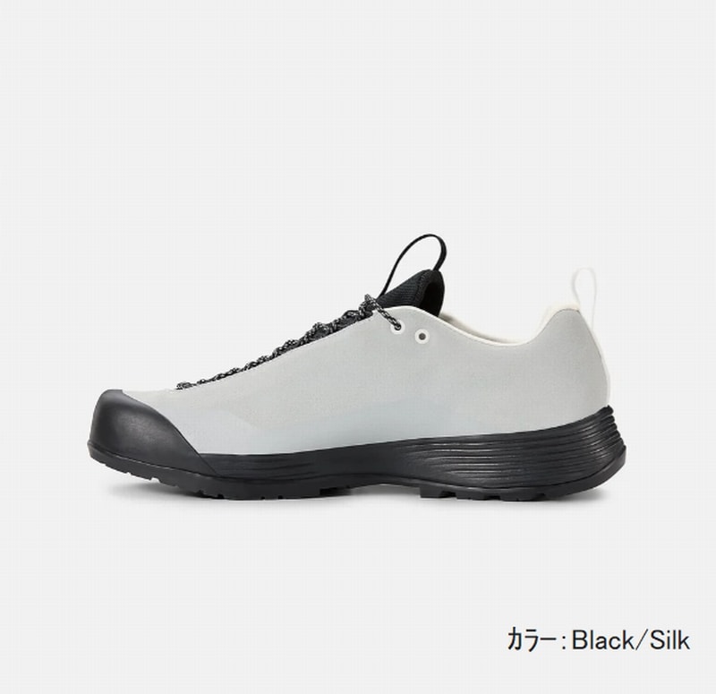 アークテリクス ARC'TERYX KONSEAL FL 2 LEATHER GTX MSilk/Black