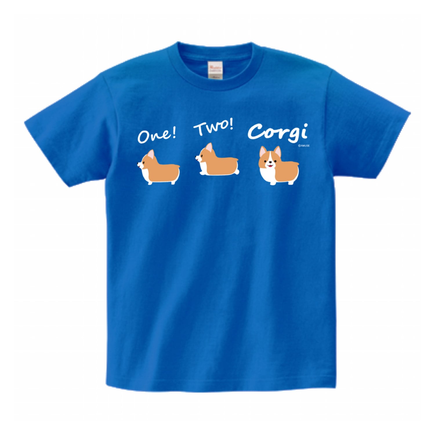 【希少】ジューシークチュール Tシャツ柄 チャーム グリーン ゴールド 犬 箱付 希少】ジューシークチュール Tシャツ柄 チャーム グリーン