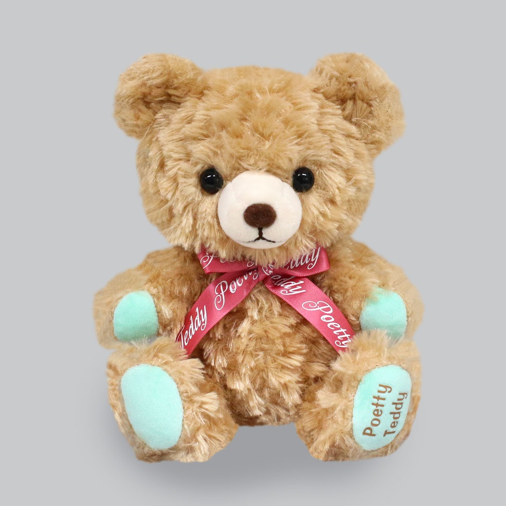 amuse bear plush