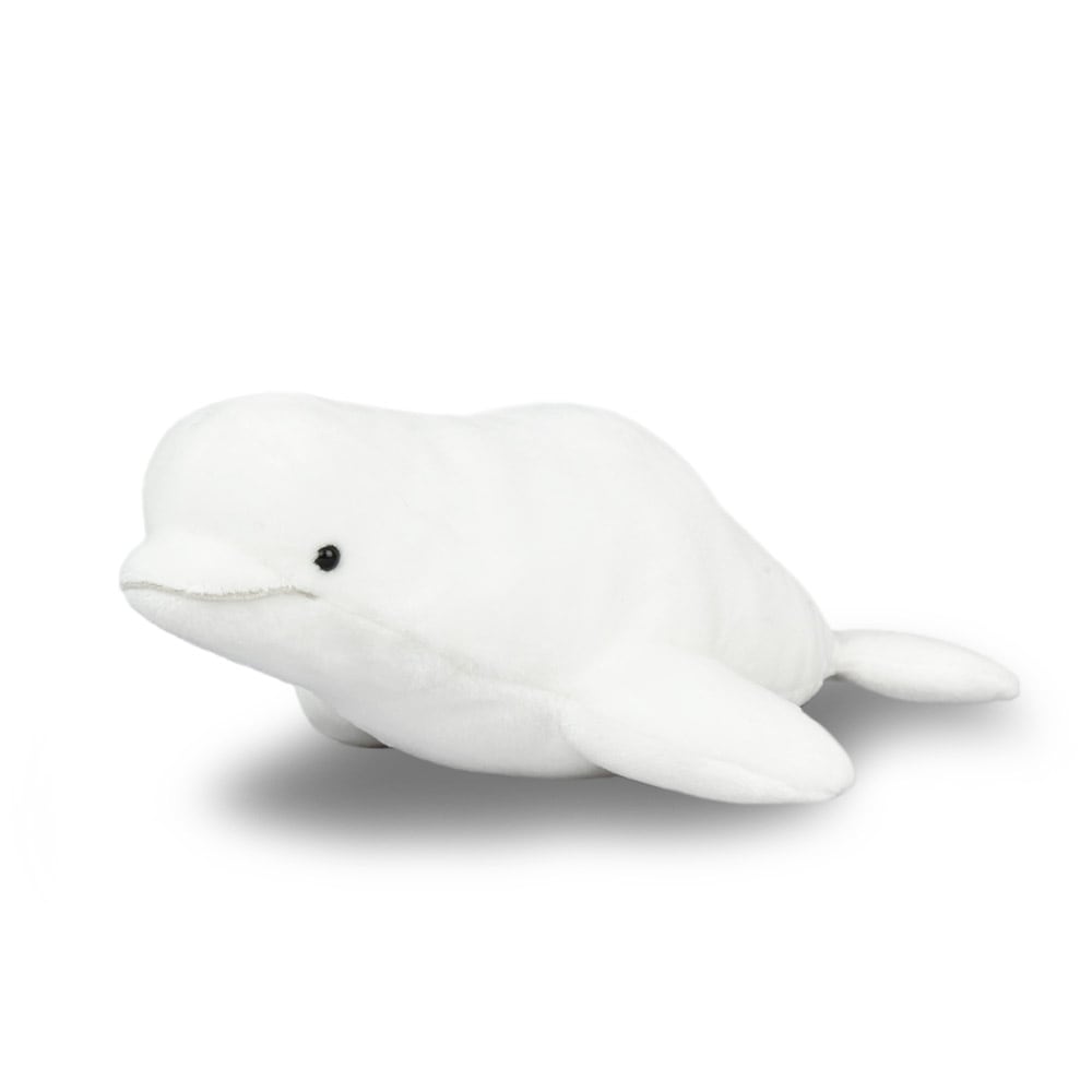 オーシャンワールドSTベルーガ / Ocean World ST beluga whale