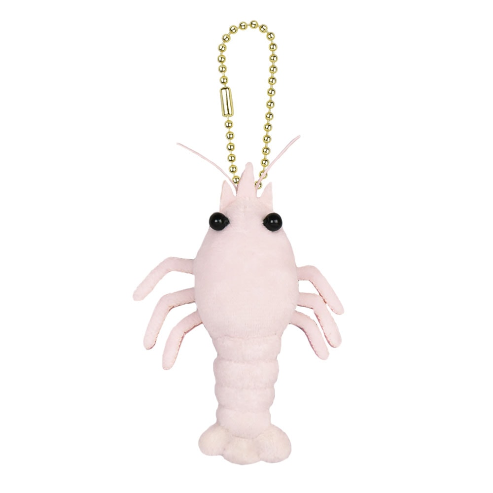 ええええエビ 伊勢エビST レッド/Ise-ebi red ST Plush toy:702782 | その他の