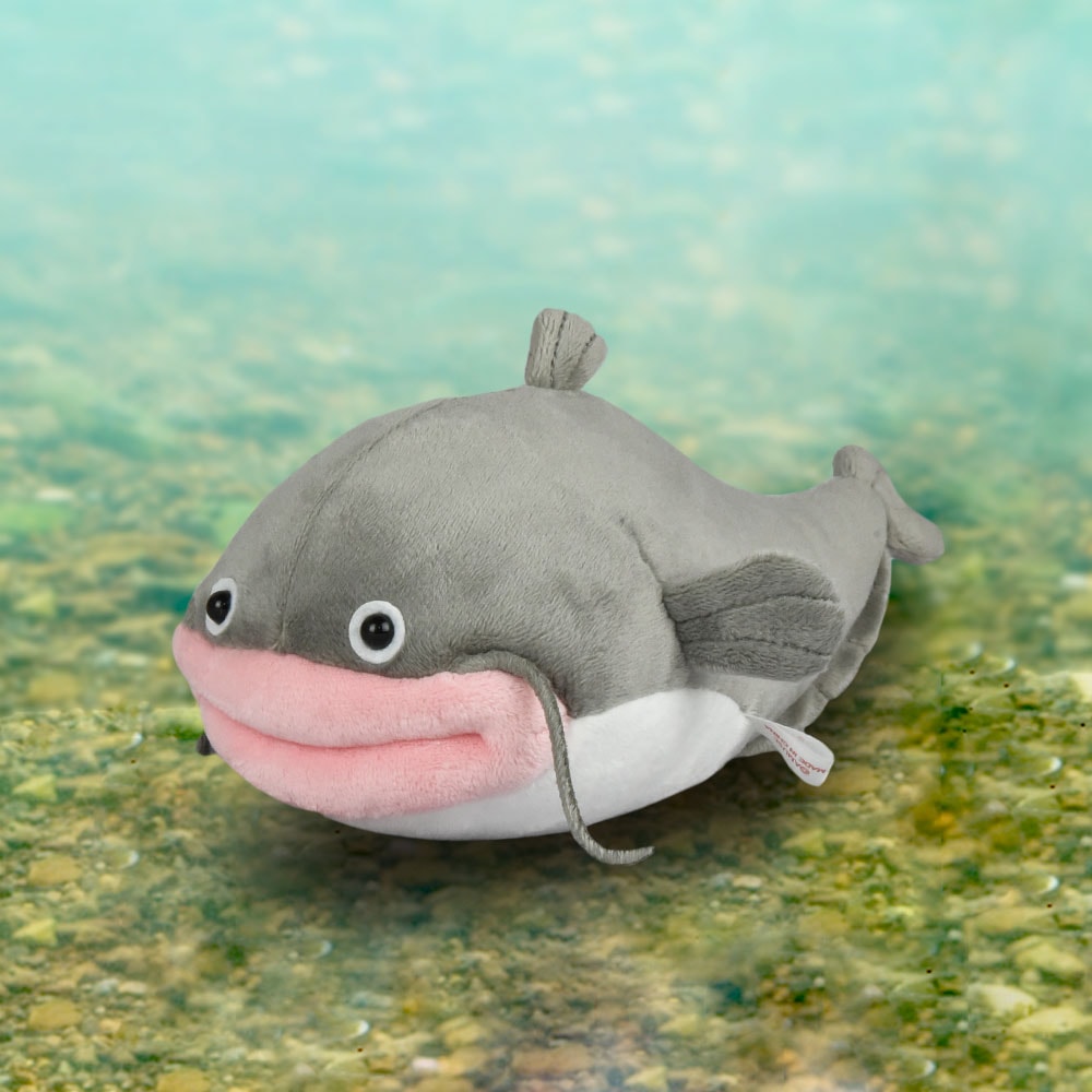 >【残り1個】なまずのずっちーSTずっちー /Namazu no Zucchi ST Zucchi:704236