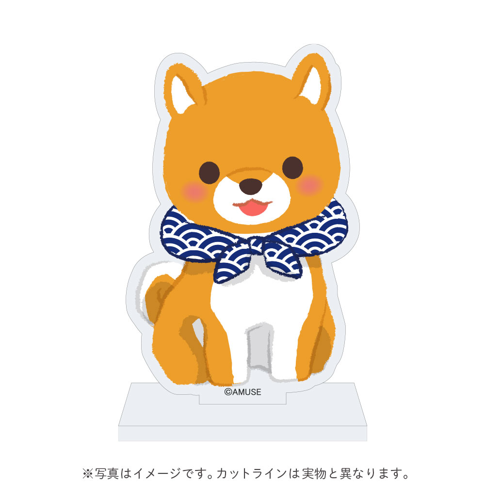 ♡まめしば♡ 71cFab9gfuL._UF350,350_QL50_.jpg