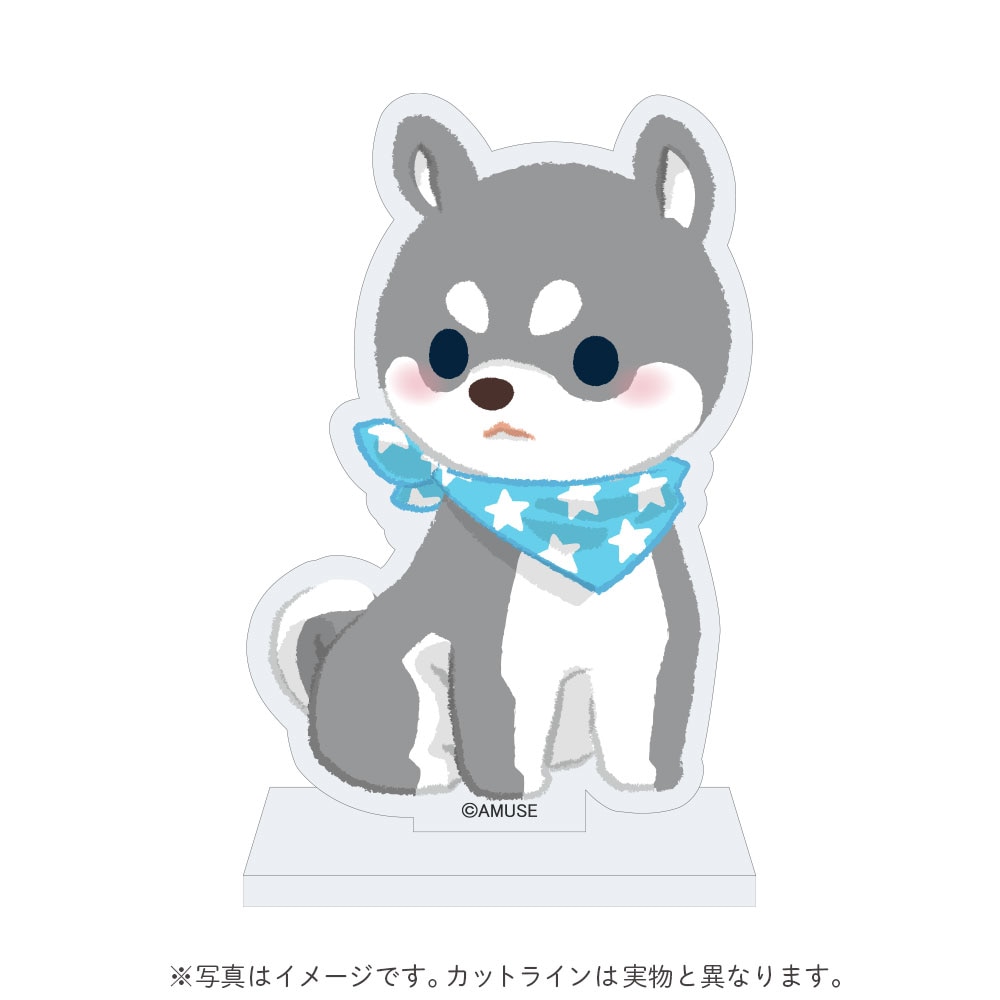 >【オンライン限定】さすけさんぽ3周年記念アクリルスタンド(タイガ):574488