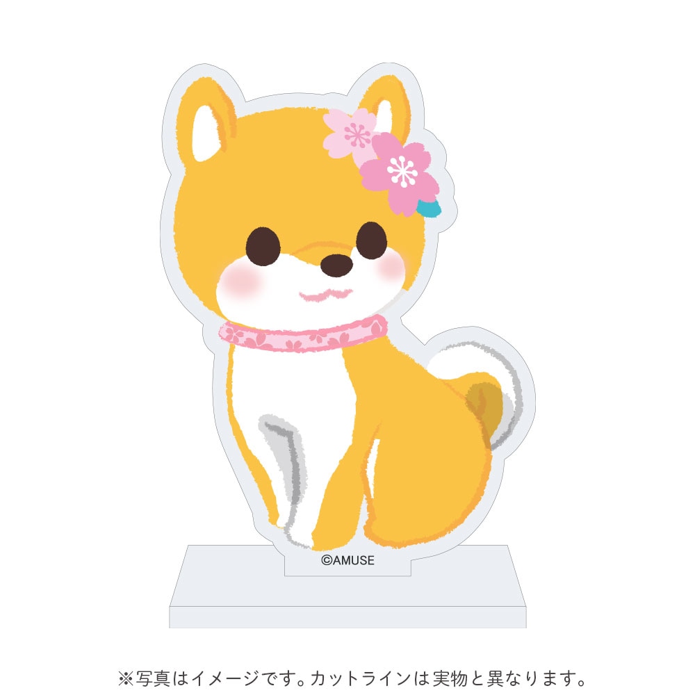 全ての商品一覧｜アミューズ公式オンラインショップ