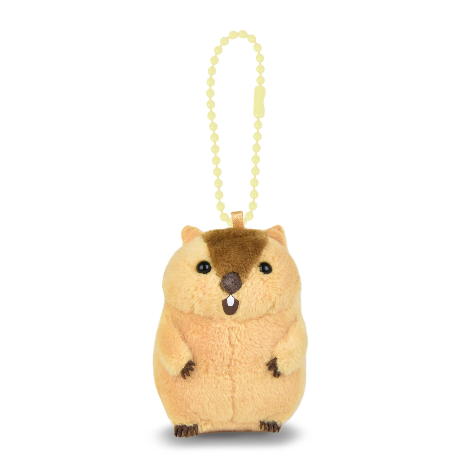 まりっくま ぷちまるオールスターDXマーモット/Puchimaru all-star DX Marmot