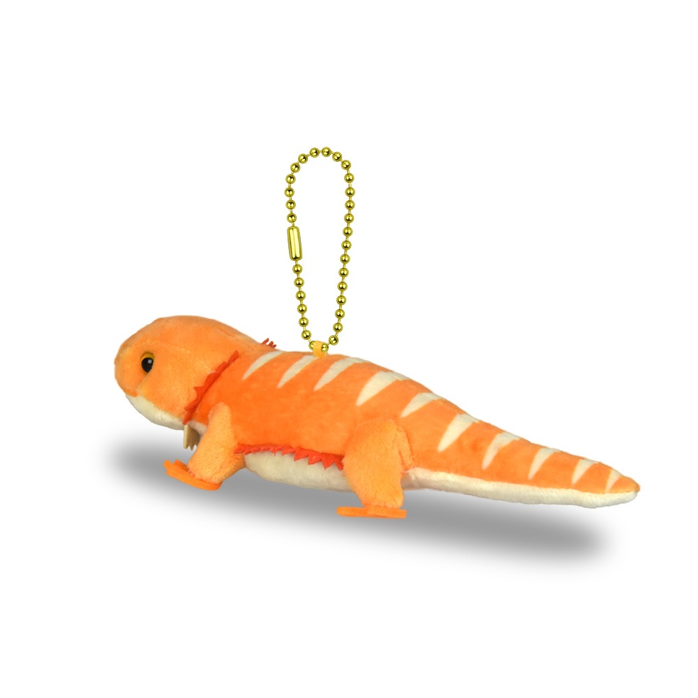 爬虫類用品お譲りします。 のんびり爬虫類LMC フトアゴヒゲトカゲ/Nonbiri Hachurui LMC Bearded