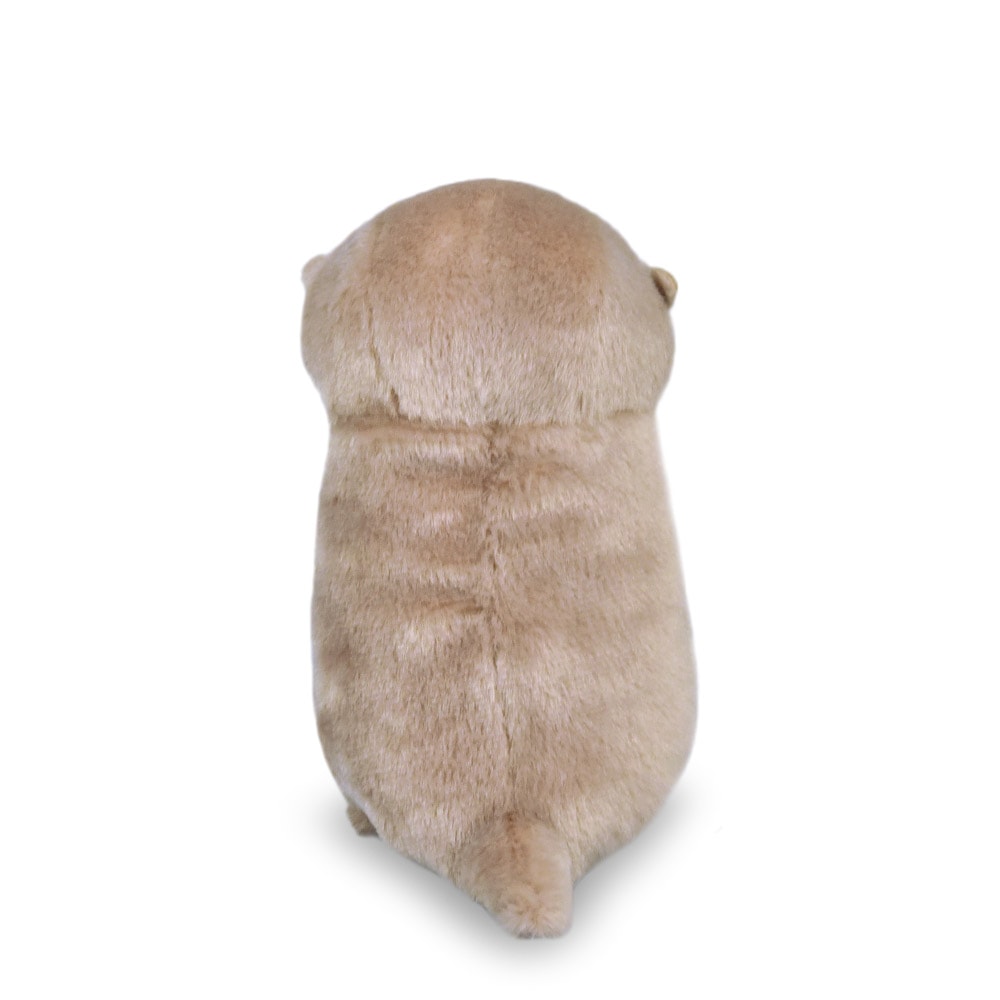 カワウソうそやんST うそやん/Kawauso Usoyan ST Usoyan：701857