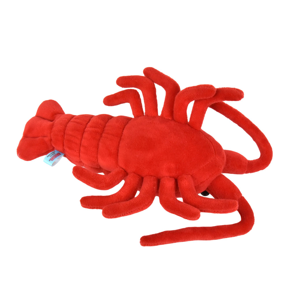 伊勢エビST レッド/Ise-ebi red ST Plush toy:702782 | その他の