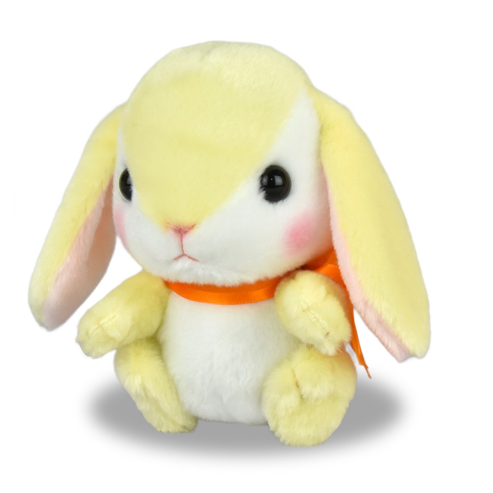 うさぴょん 🐰R7.10.1 ほのぼのした時間☺️ #ネザーランドドワーフ #うさぎ
