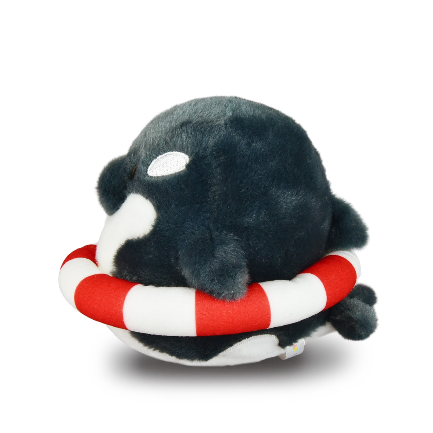 さかなミュージシャン ぬいぐるみ 美品さかなクンぬいぐるみマスコット限定レア魚博士オリジナル公式商品