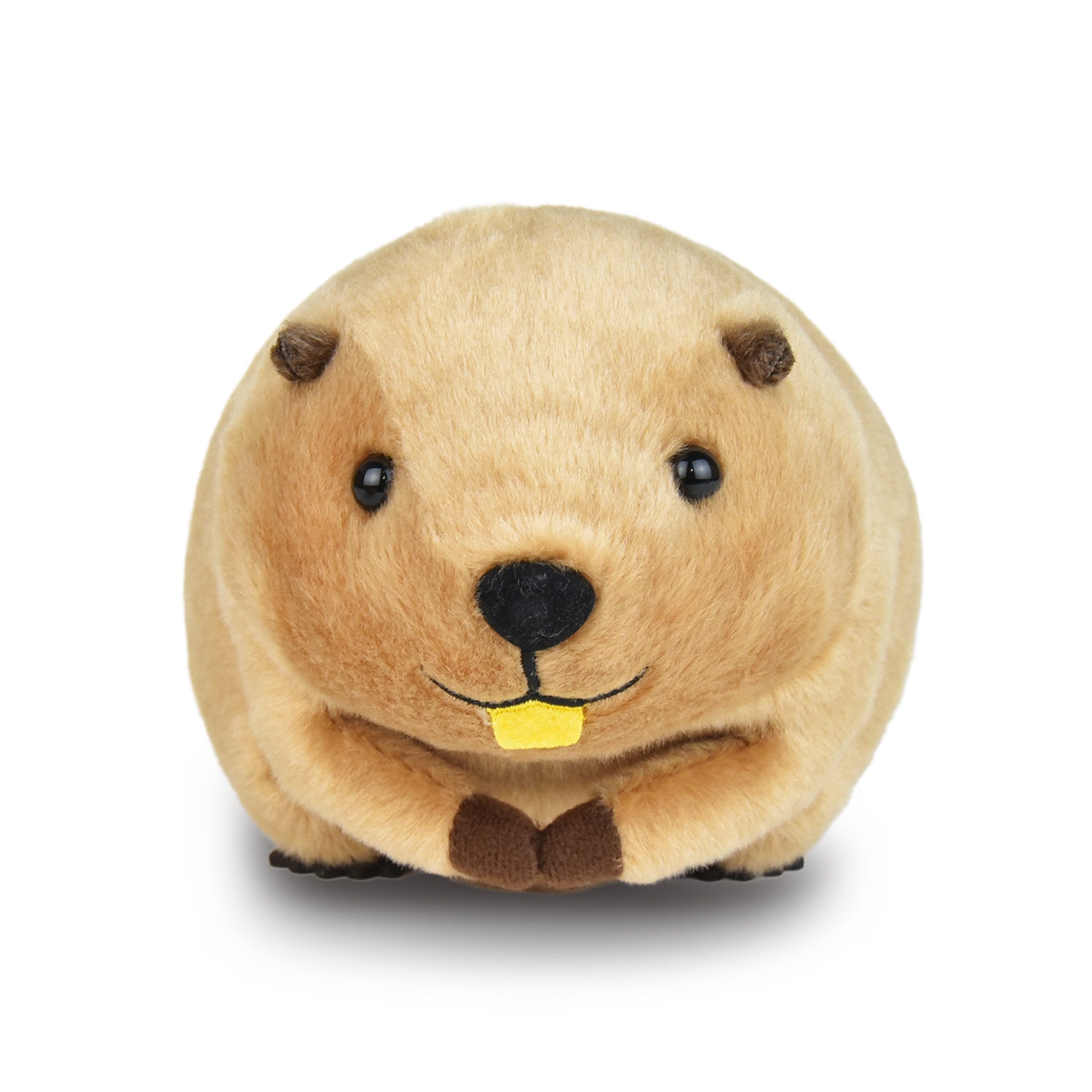 むっちりビーバーたっちSTマロン/Mucchiri beaver Tacchi ST Marron