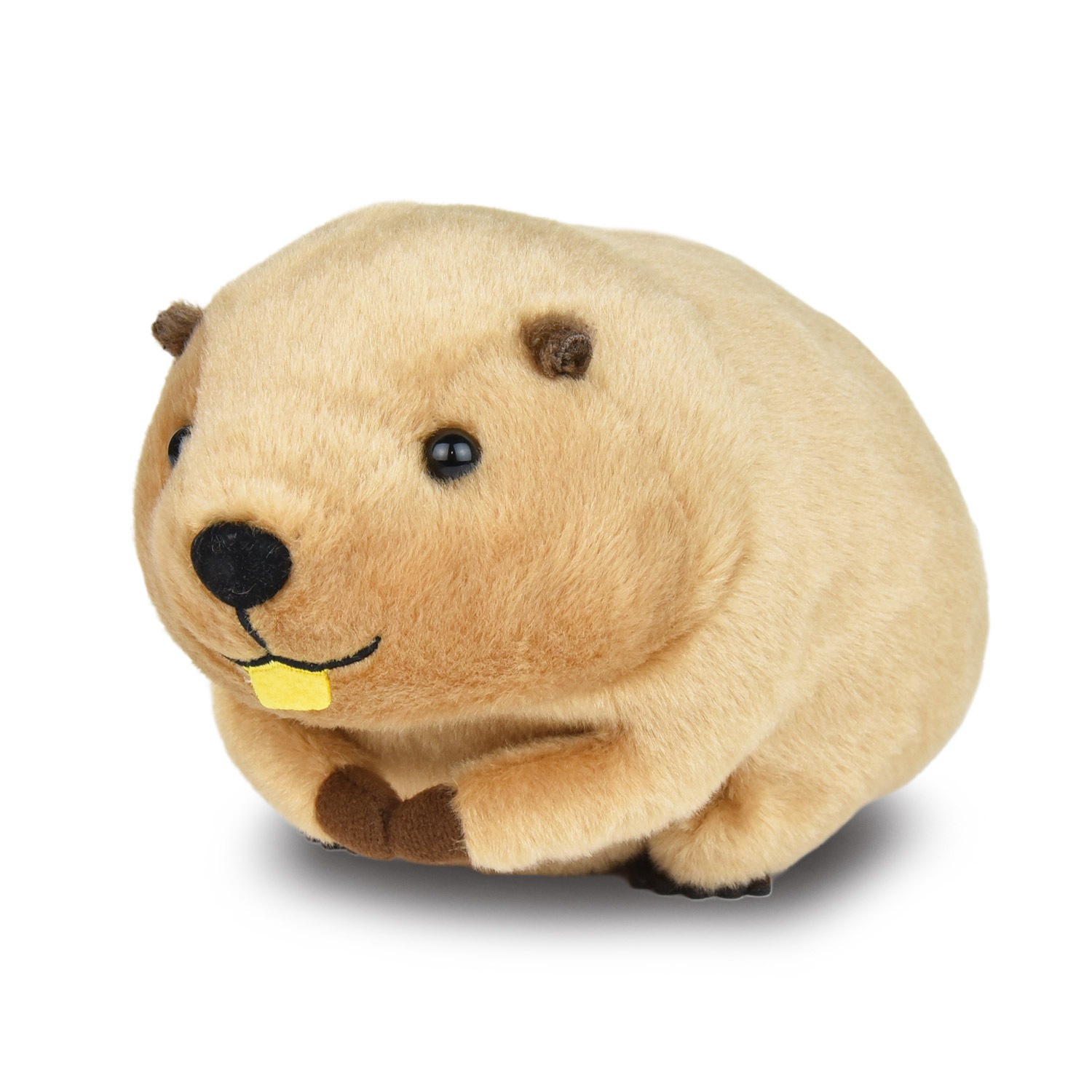 むっちりビーバーたっちSTマロン/Mucchiri beaver Tacchi ST Marron:705590