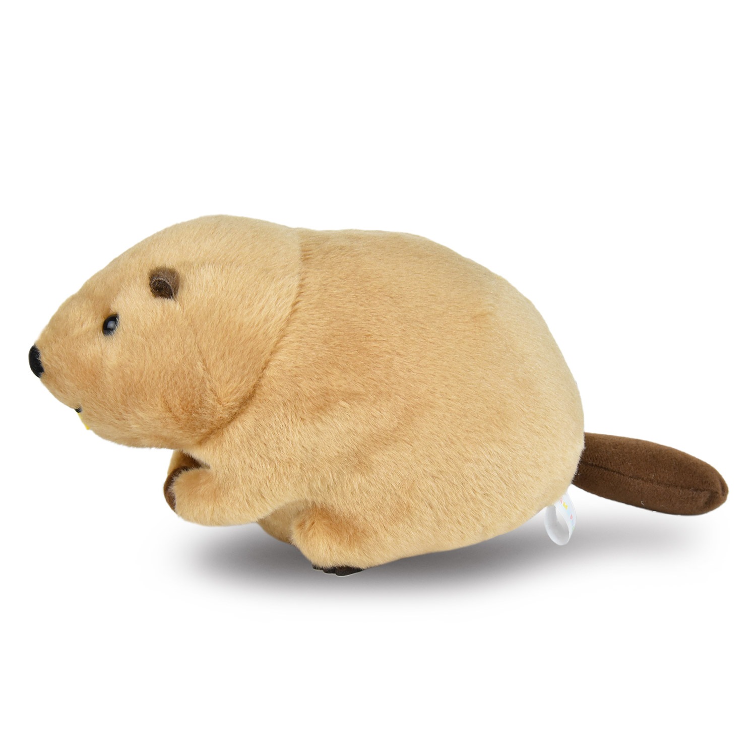むっちりビーバーたっちSTマロン/Mucchiri beaver Tacchi ST Marron:705590