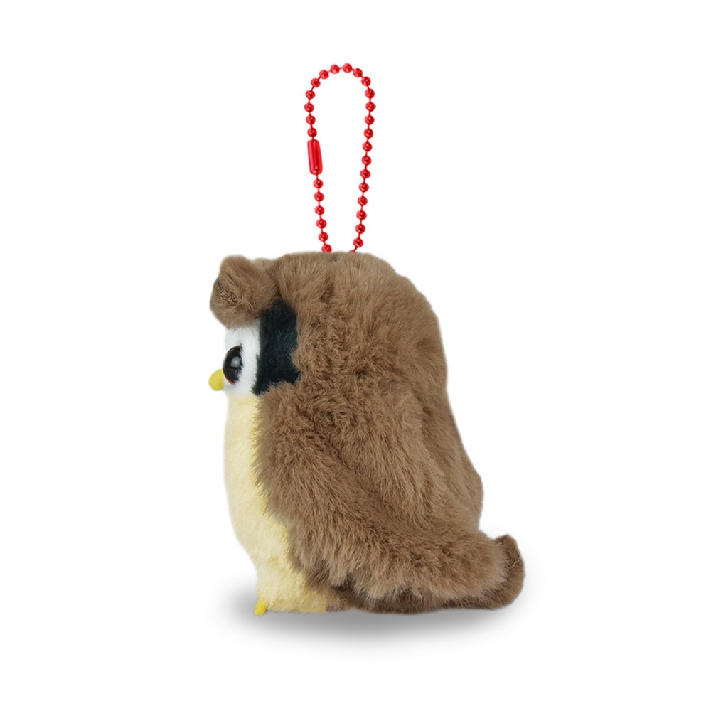 森のフクロウ フクロウと森